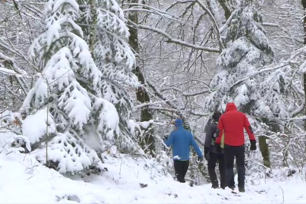 Les recherches se poursuivent pour retrouver Jérôme Panisset dans le Haut-Jura.