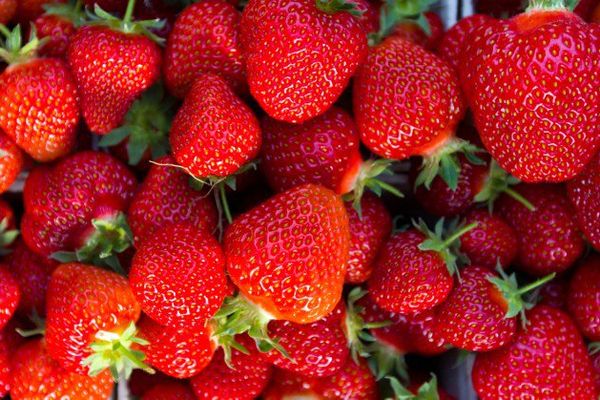 Vous les trouvez belles ? Elles ont peut-être été trempées dans le chlore avant d'arriver dans votre assiette.