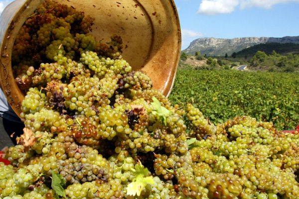 Languedoc-Roussillon - les aides étaient notamment destinées à promouvoir le vin à l'étranger - octobre 2019