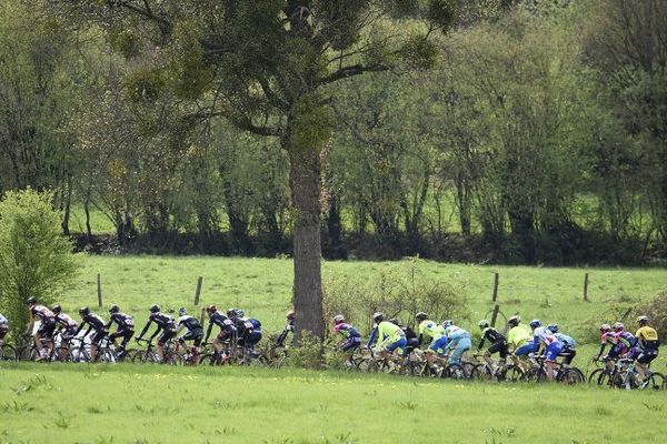 Le peloton lors de Liège-Bastogne-Liège 2015.