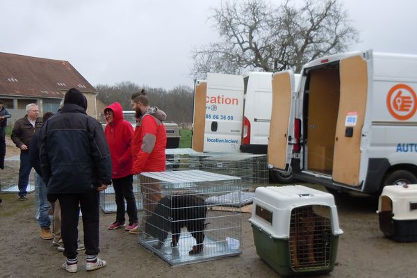 Une soixantaine de chiens a été sauvée à Couleuvre, dans l’Allier, après le décès de leur éleveuse jeudi 7 mars. En moins de 24 heures, quatre refuges ont répondu à l’appel de la Confédération nationale défense de l’animal.