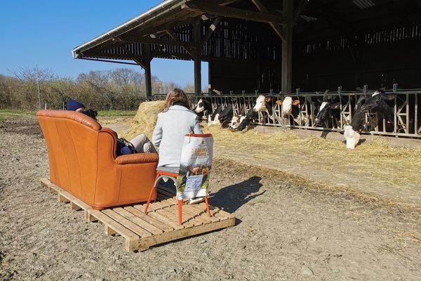 Quand la ferme fait salon !