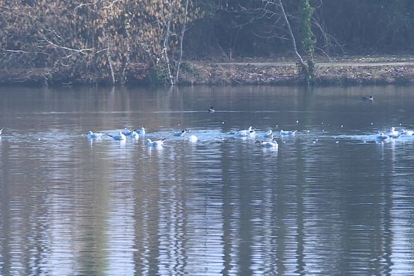 71 communes sont placées en zone de contrôle temporaire par la préfecture de l'Yonne.