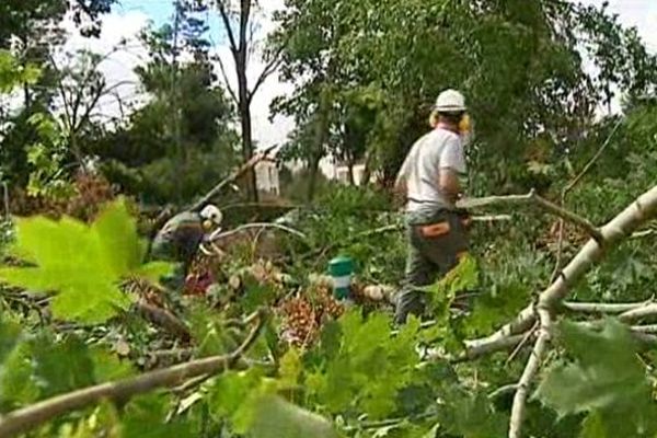 40 hectares à déblayer pour les jardiniers de l'université.