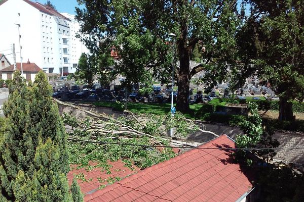 L'arbre est tombé en partie sur le toit d'une maison rue des deux princesses à Besançon. 