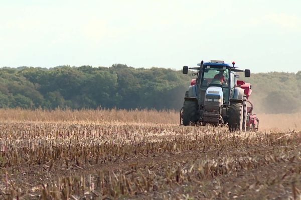 La hausse du prix des engrais azotés inquiètent les agriculteurs notamment sur cette exploitation où l'on cultive le blé à Pendé dans la Somme