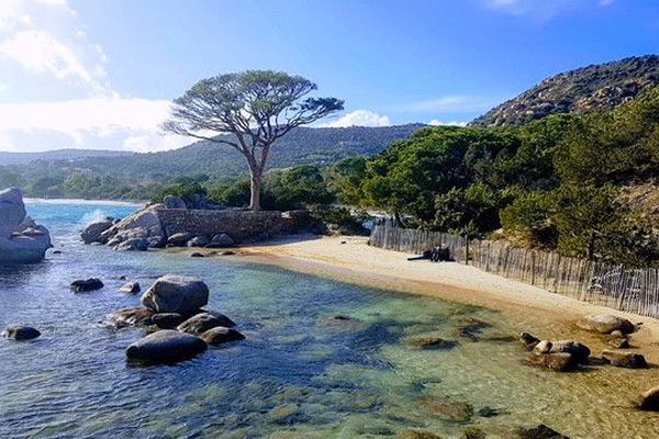 La plage de Palombaggia sous le soleil.