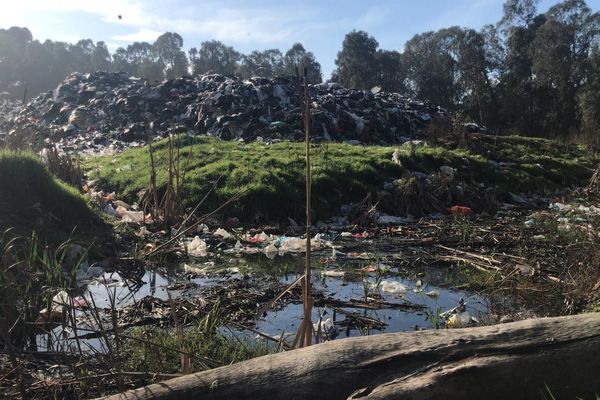 Certaines solutions trouvées peuvent représenter des risques pour l’environnement et les populations. C’est le cas du quai de transfert de Capo di Padule à Porto-Vecchio saturé.