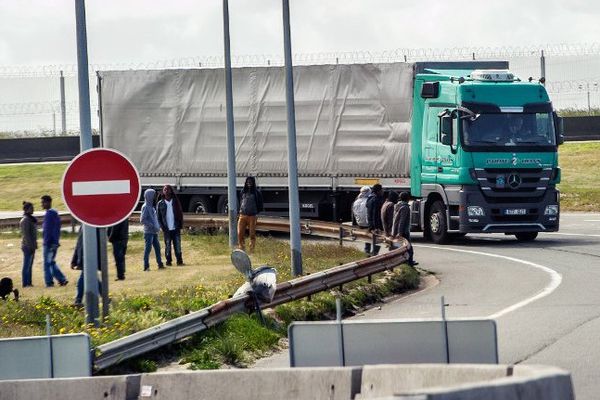 Des migrants essaient de monter dans des camions pour rejoindre l'Angleterre