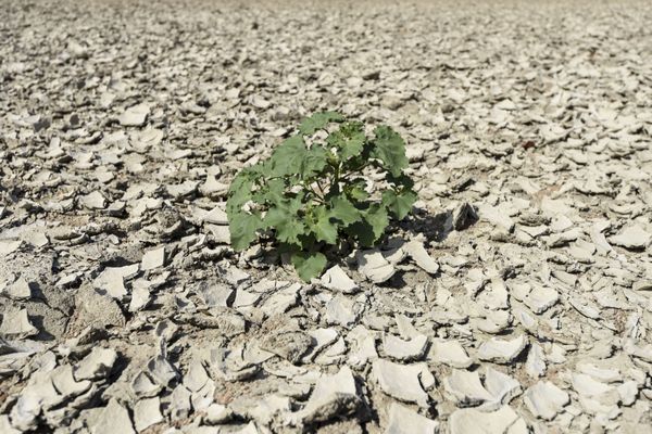 Dans le Lot, les précipitations ont été déficitaires de 40 % en mars et avril, selon Météo France.