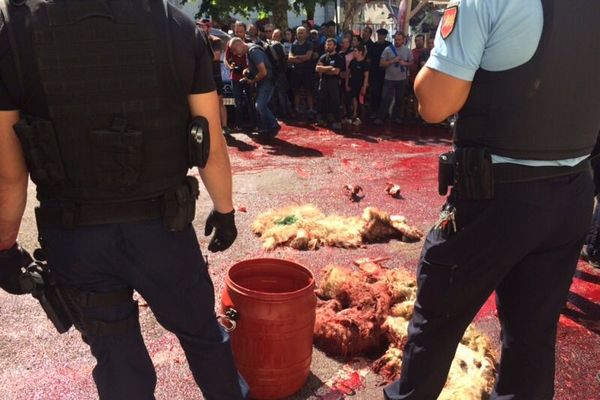 Manifestation des anti ours le 29 août dernier. Les éleveurs béarnais ont jeté du sang devant la mairie d'Etsaut.