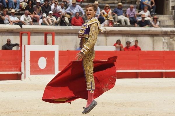 Encore beaucoup de défauts à corriger. Mais les qualités fondamentales sont là : courage, calme, sens du rythme et bon goût. Andy peut devenir quelqu'un.