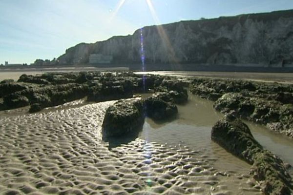 L'estran à Dieppe à marée basse 