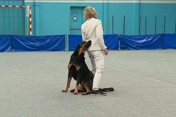 Le duo chien-humain en dit long sur leur complicité.