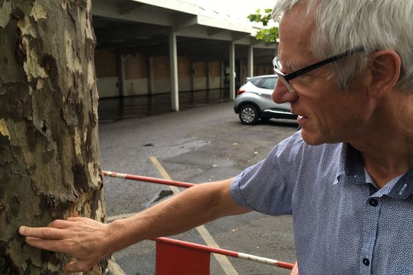 "Nous avons constaté un dépérissement anormal" Jacky Malinge du Service des Espaces Verts de Nantes.