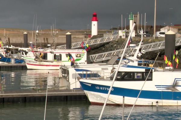 Bateaux de pêche dans le port de la Cotinière