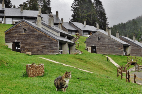 Les gîtes de Payolle