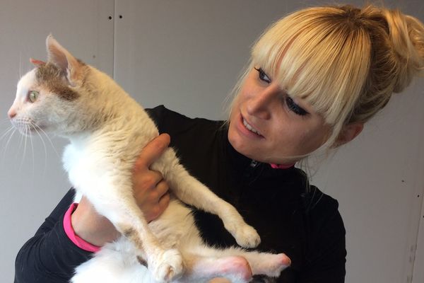 Stéphanie Lisicki accueille les animaux handicapés dans son refuge de l'Orne