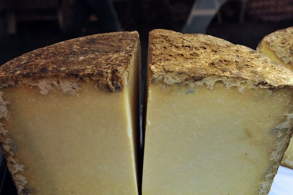 Les producteurs de fromage AOP du Cantal lancent un appel à la solidarité auprès des consommateurs après une chute des ventes liée au coronavirus COVID 19.