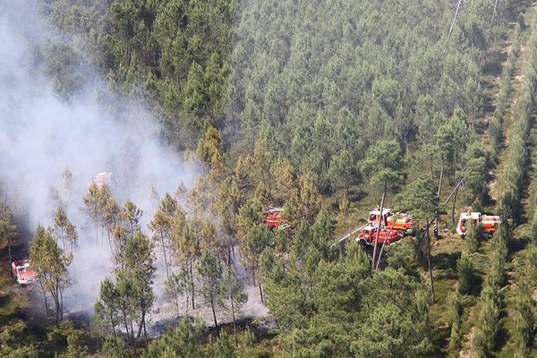 15 hectares de forêts ont été brûlés malgré la présence de 90 pompiers.