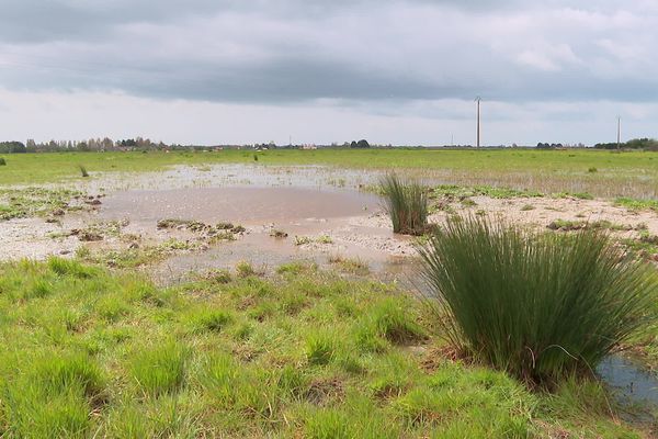 Le marais breton à Notre Dame de Monts