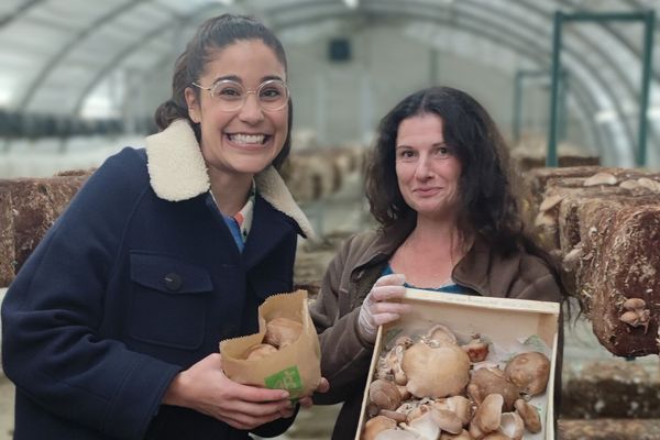 Maire est à la tête de La Champignonnière de Bernazay (79).