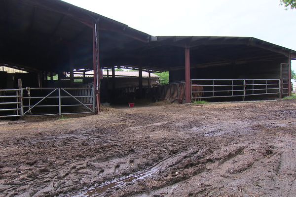 Les exploitations agricoles ont les pieds dans l'eau après les précipitations de ces dernières semaines. Les semis ont notamment pris du retard.