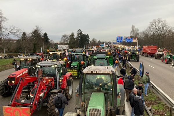 Des centaines de tracteurs ont convergé pour bloquer la M35 à Strasbourg mardi 30 janvier.