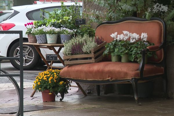 Les fleuristes sont autorisés à rester ouverts jusqu'à dimanche soir. 