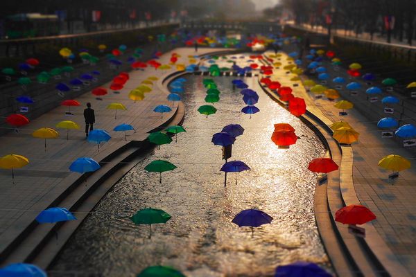 Cheonggyecheon Umbrellas