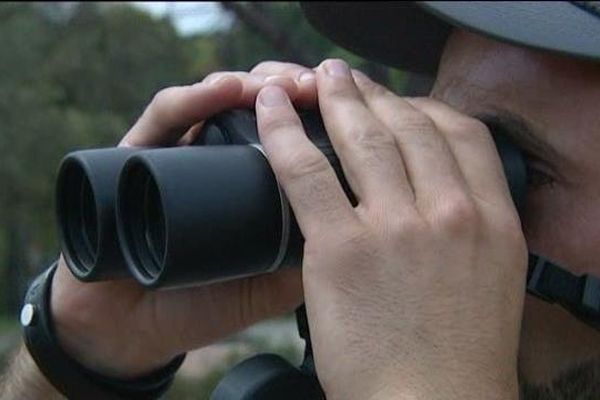 Les massifs forestiers varois sont sous haute surveillance pendant l'été.