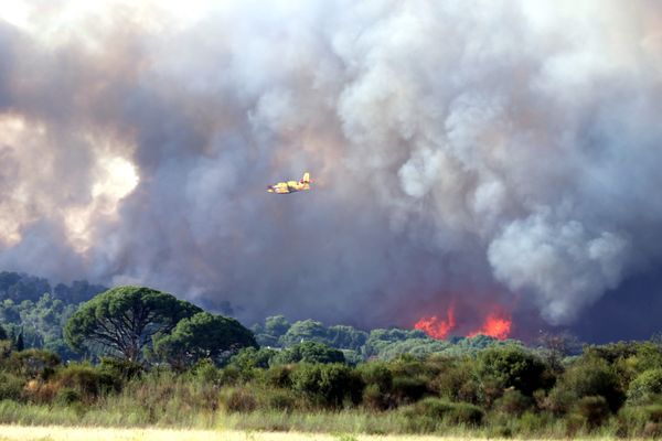 Le débroussaillement est obligatoire afin de limiter les feux de forêt, comme à Générac (Gard en 2019), où 480 hectares avaient été touchés.