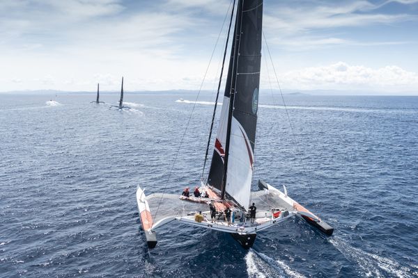 10 bateaux Ocean fifty seront au départ de la Med Max dimanche à Port Camargue.