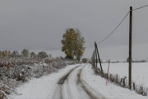 Près de 300 000 foyers sont privés d'électricité ce vendredi matin en Auvergne-Rhône-Alpes.