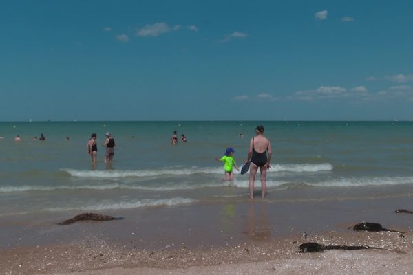 L'heure des vacances a sonné et beaucoup se sont déjà jetés à la mer en Normandie. Et l'eau est étonnamment bonne avec un à deux degrés de plus que l'année précédente. Une bonne nouvelle pour les vacanciers mais pas pour l'écosystème.