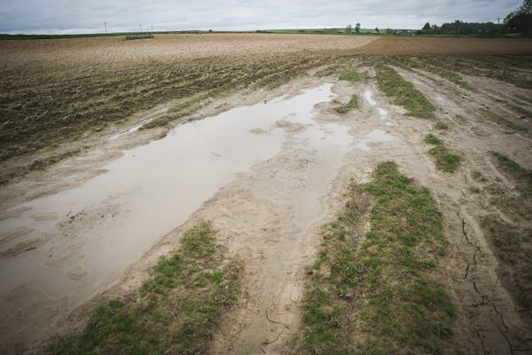 Les agriculteurs sont impactés par les récentes pluies de ce mois de mai 2024, très excédentaire en précipitations.