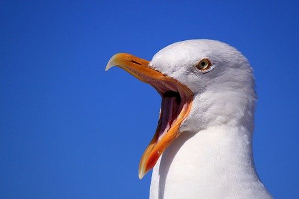 Il vous le dit il fait beau