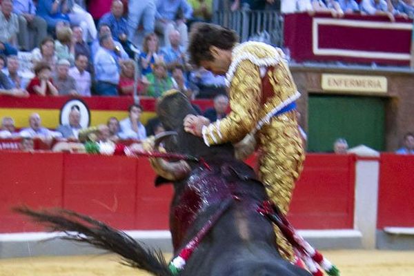 Le matador José Tómas blessé lors de la corrida de Grenade, le 19 juin 2014