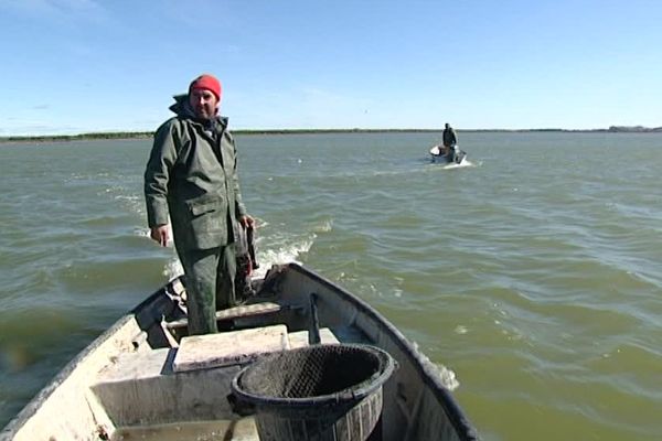 Pêcheur d'anguilles sur l'étang de Palavas (Avril 2016)