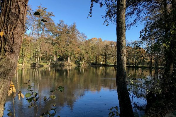 Couleurs d'automne dans les Hauts-de-France