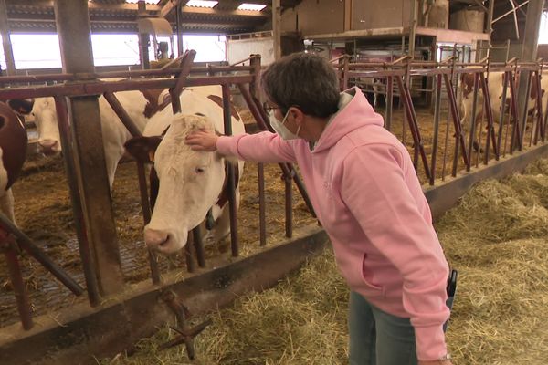 La maladie du "poumon de fermier" est particulièrement présente en Franche-Comté.