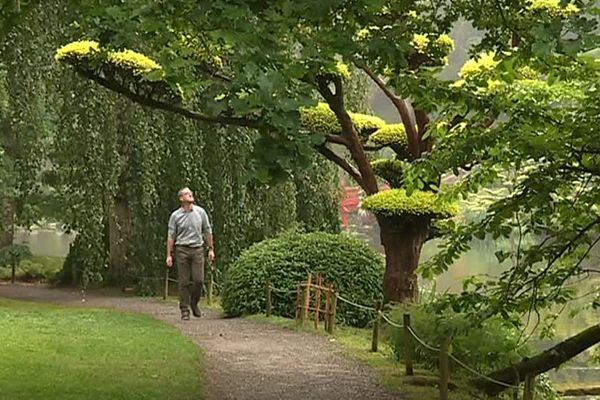 Au coeur du jardin de Maulévrier (Maine-et-Loire)