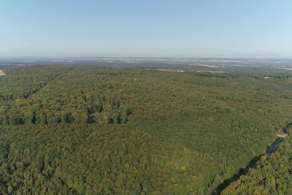 Les forêts domaniales appartiennent à l'État et sont gérées par l'ONF.