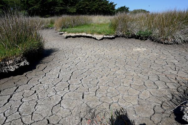 Sécheresse à "La mer Blanche" de Mousterlin - Fouesnant, été 2022