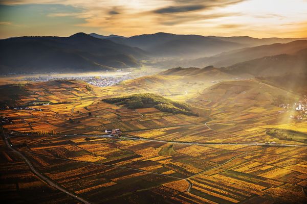 Le vignoble dans ses couleurs d'automne, ici dans le secteur de Katzenthal, donnera-t-il envie aux touristes de passer leurs vacances de la Toussaint en Alsace?