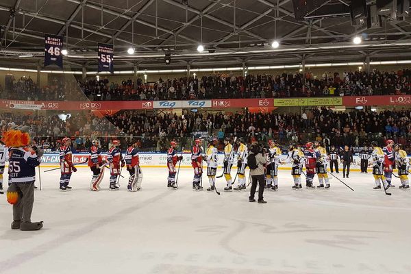 Les deux équipes se saluent après la fin du match .