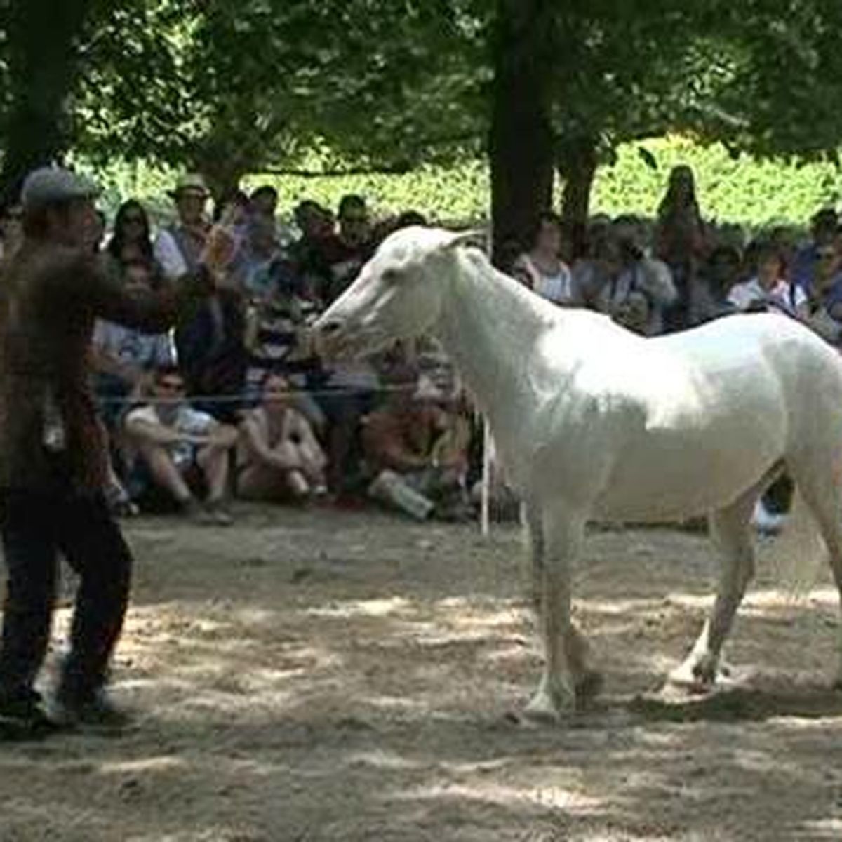 cheval rencontres