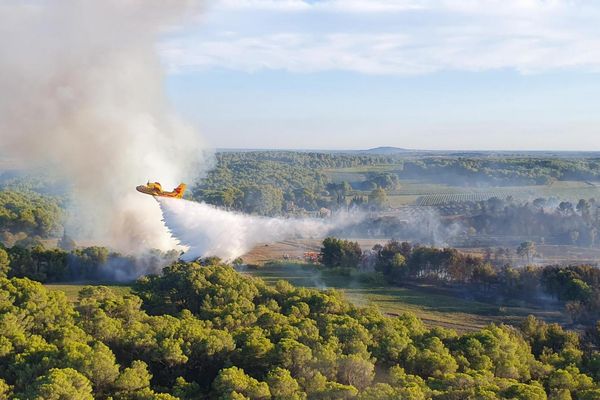 Un Canadair largue de l'eau sur l'incendie de Montagnac.