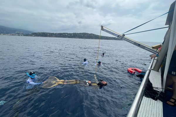 Le 11ème championnat de France d’apnée en eau libre a permis de confirmer de très belles performances de la part des apnéistes tricolores à Villefranche.