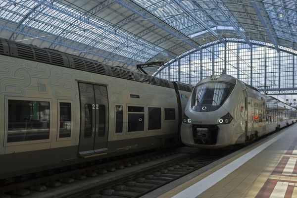 Le trafic SNCF, TER comme TGV, a été interrompu suite à l'accident.